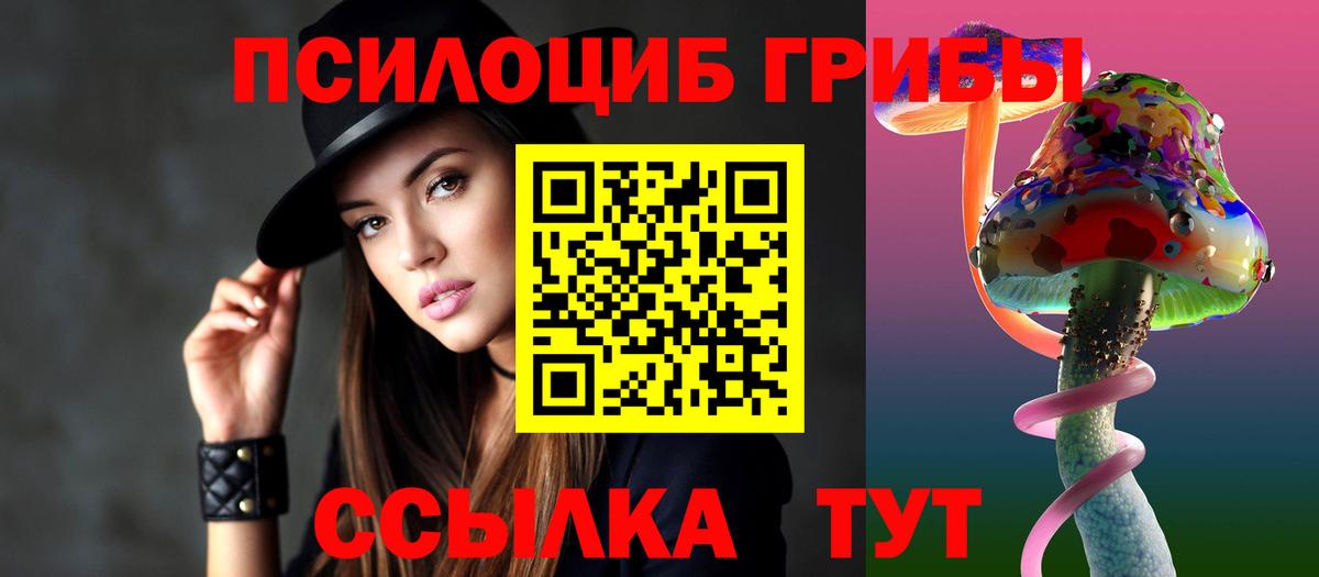 Альметьевск  Псилоцибиновые грибы GOLDEN TEACHER  Вход с VPN  Псилоцибиновые грибы MAGIC MUSHROOMS 